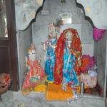 Vraj-Yatra-2014- (896)